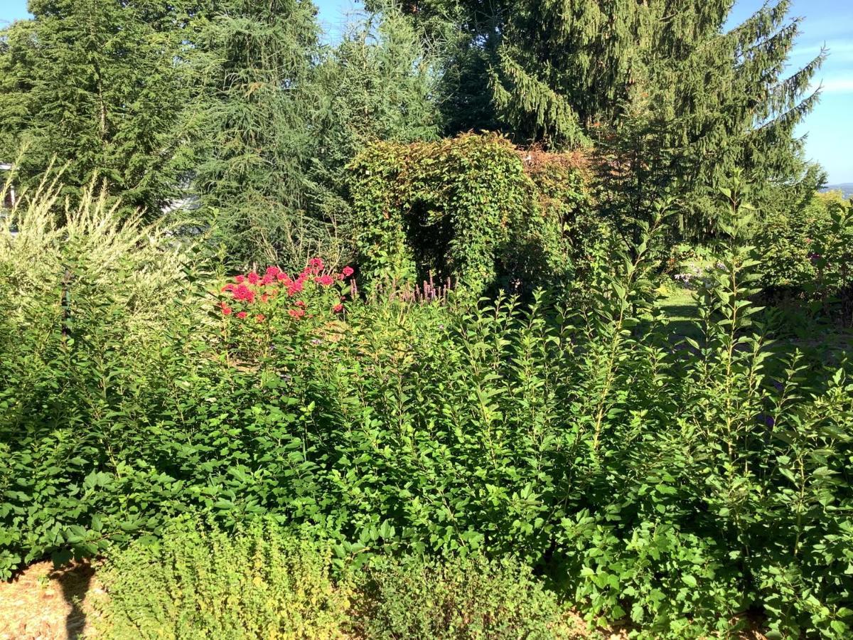 Les Saisons Du Fleuve Bed and Breakfast Lotbiniere Exterior foto